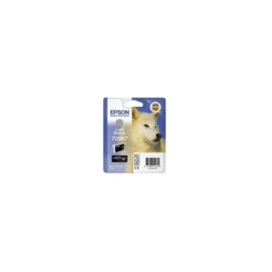 Epson T0967 Light Black Ink Cartridge (Original)