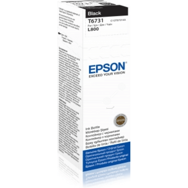Epson T6731 Black Ink Bottle (Original)
